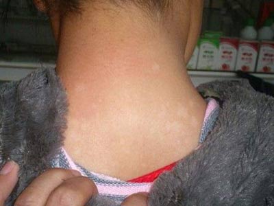 ��ôԤ������