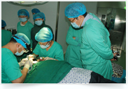 ���ݱ���Ƥ��ר��ҽԺ���Ů���ѷ���ԭ����ʲô��